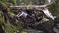 still_image_25