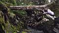 still_image_27