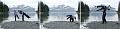 strip_witthier_final